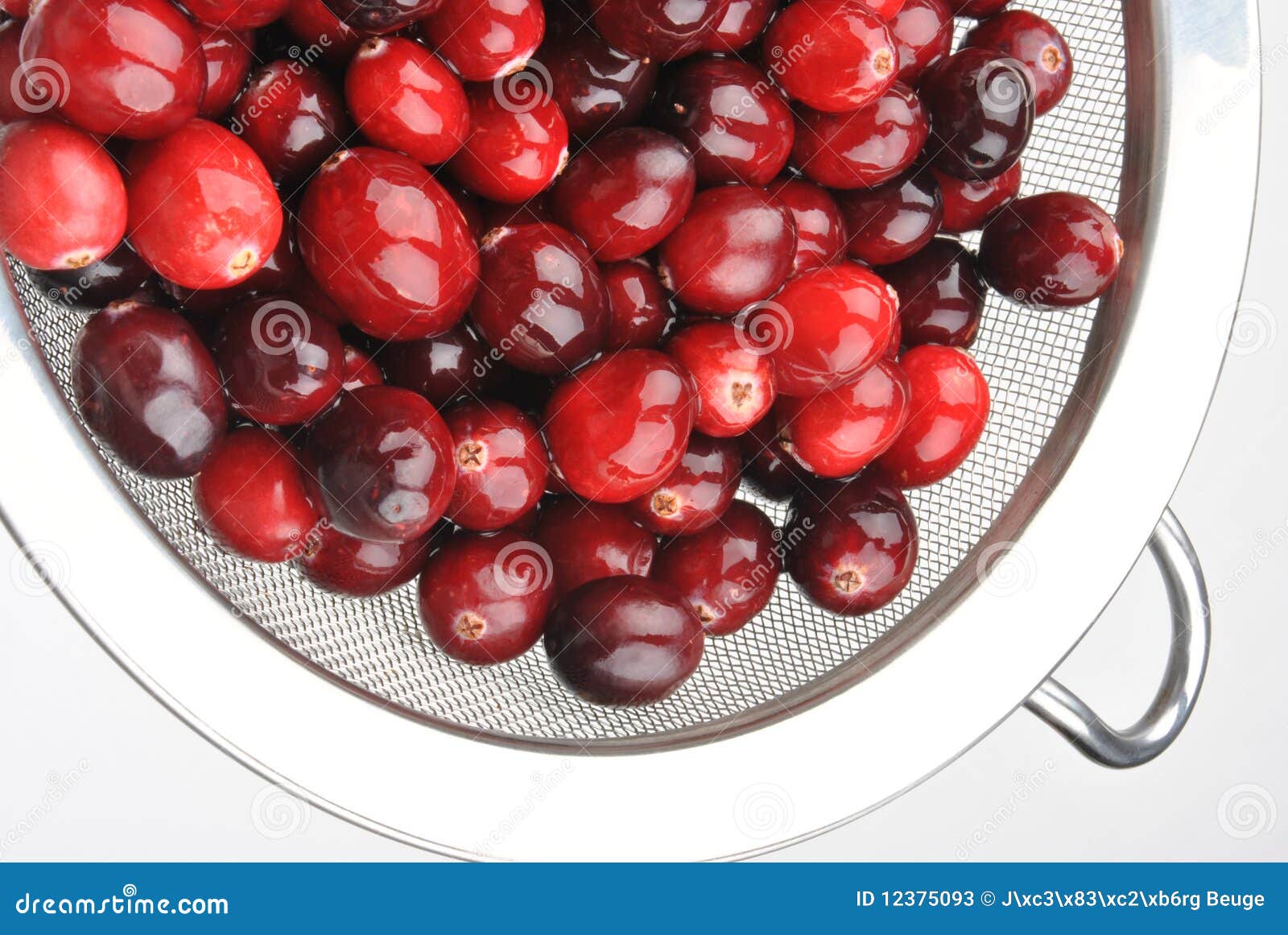 Fresh and Organic Cranberry Stock Image Image of cranberry, tasty