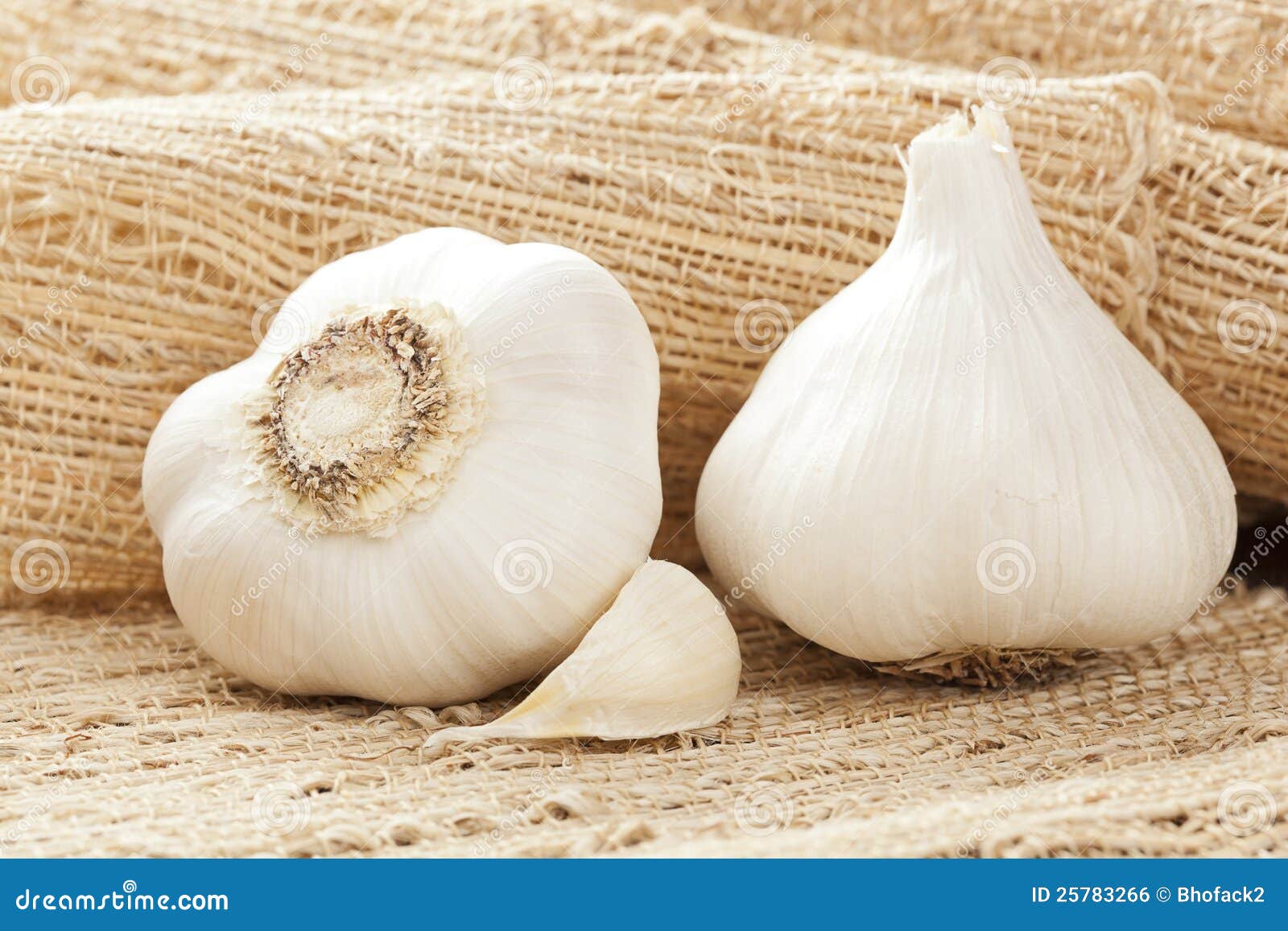 Fresh Organic Garlic Cloves Stock Photo Image of fresh, aroma 25783266