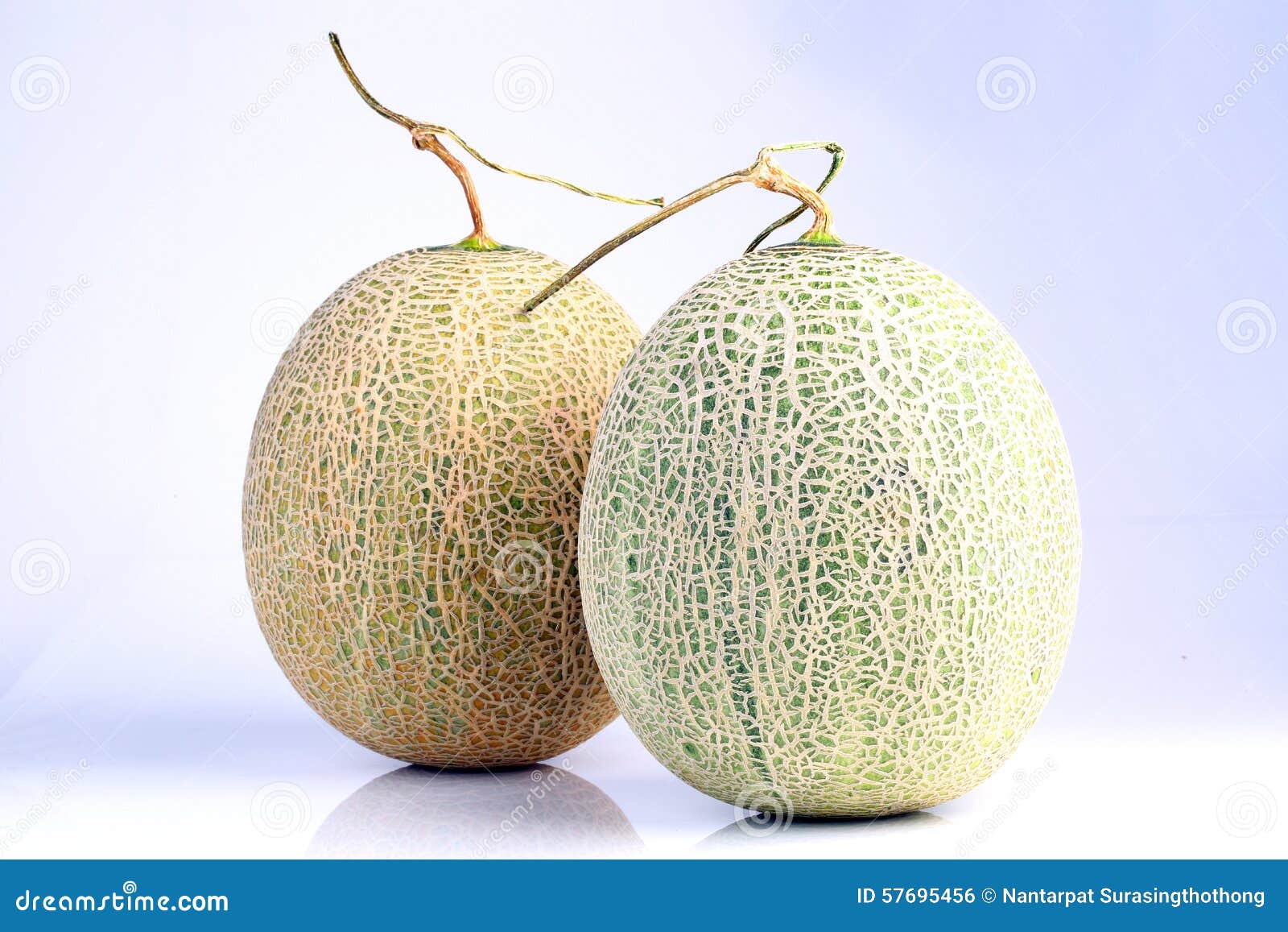 Fresh Organic Japanese Melon Isolated on White Background Stock Photo
