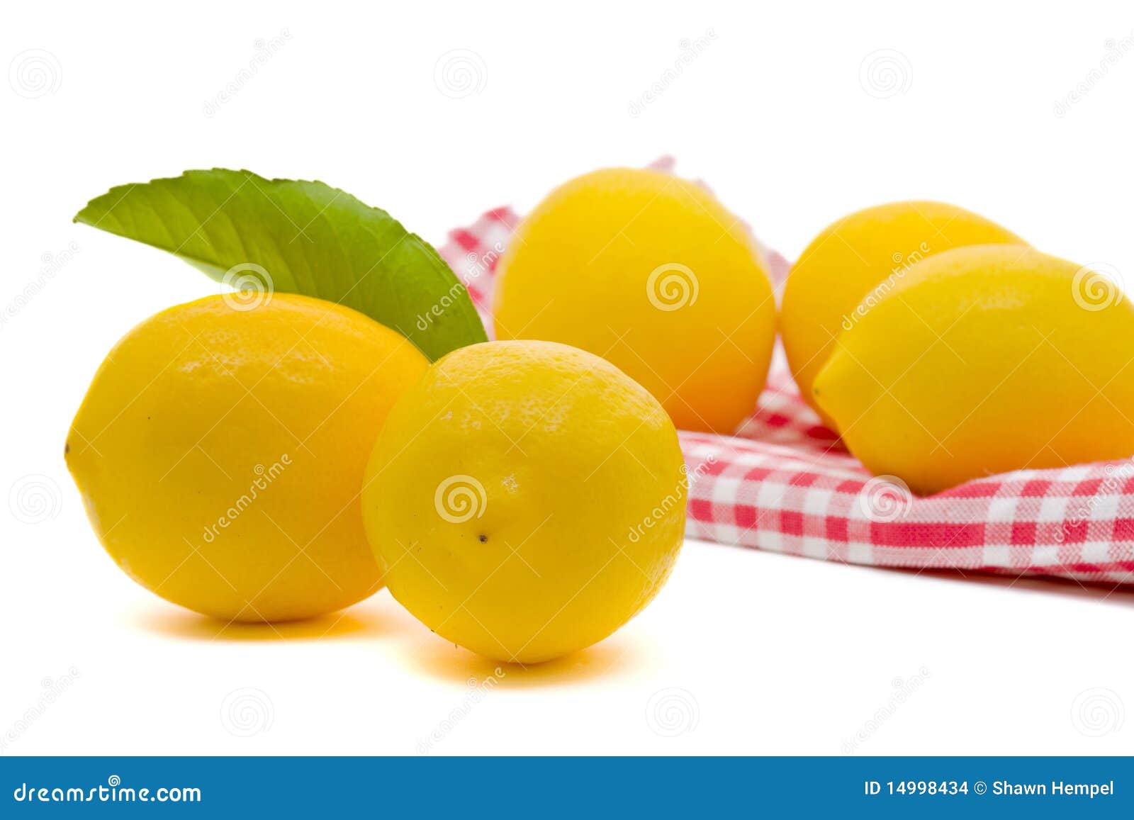 Fresh organic lemons stock photo. Image of tropical, leaf 14998434