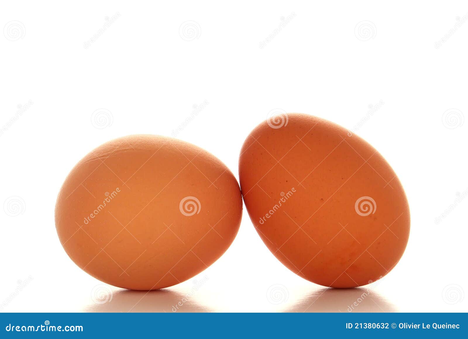 Fresh Organic and Natural Free Range Brown Eggs Stock Photo Image of eggs, chicken 21380632