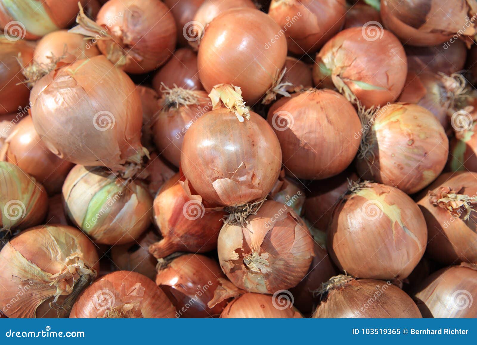 Market onion