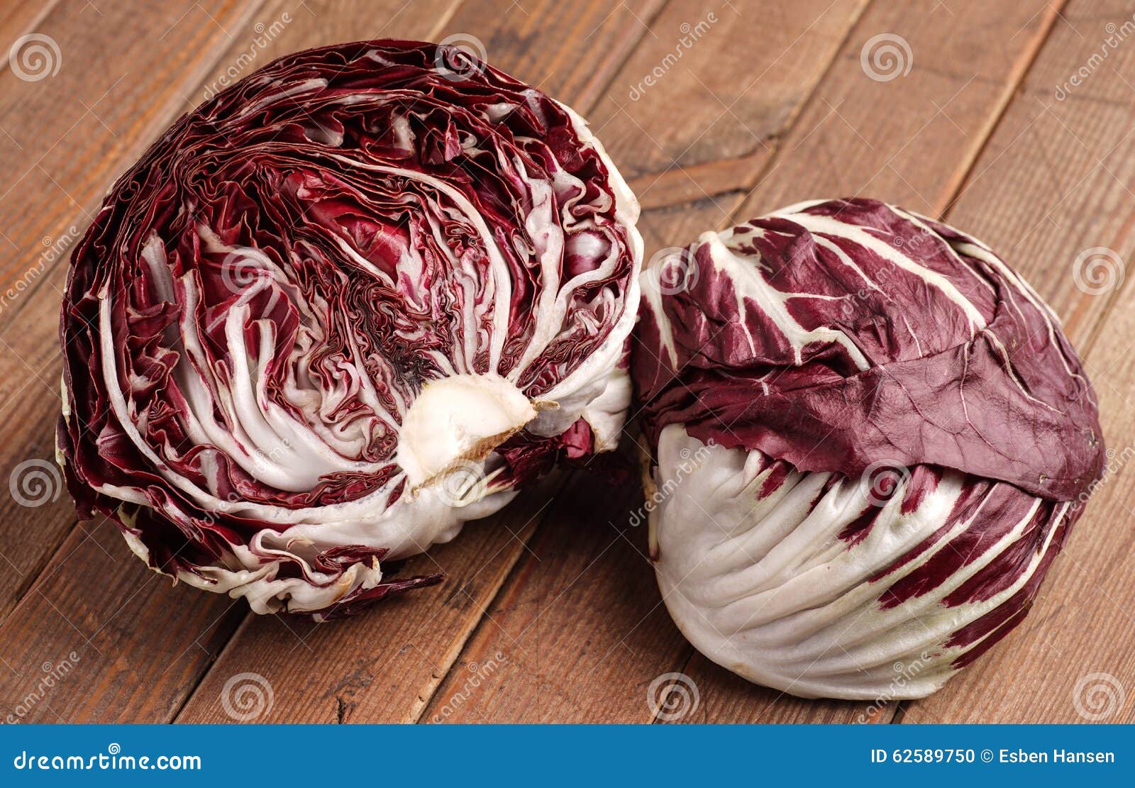 Fresh Organic Radicchio Lettuce Stock Photo Image of organic