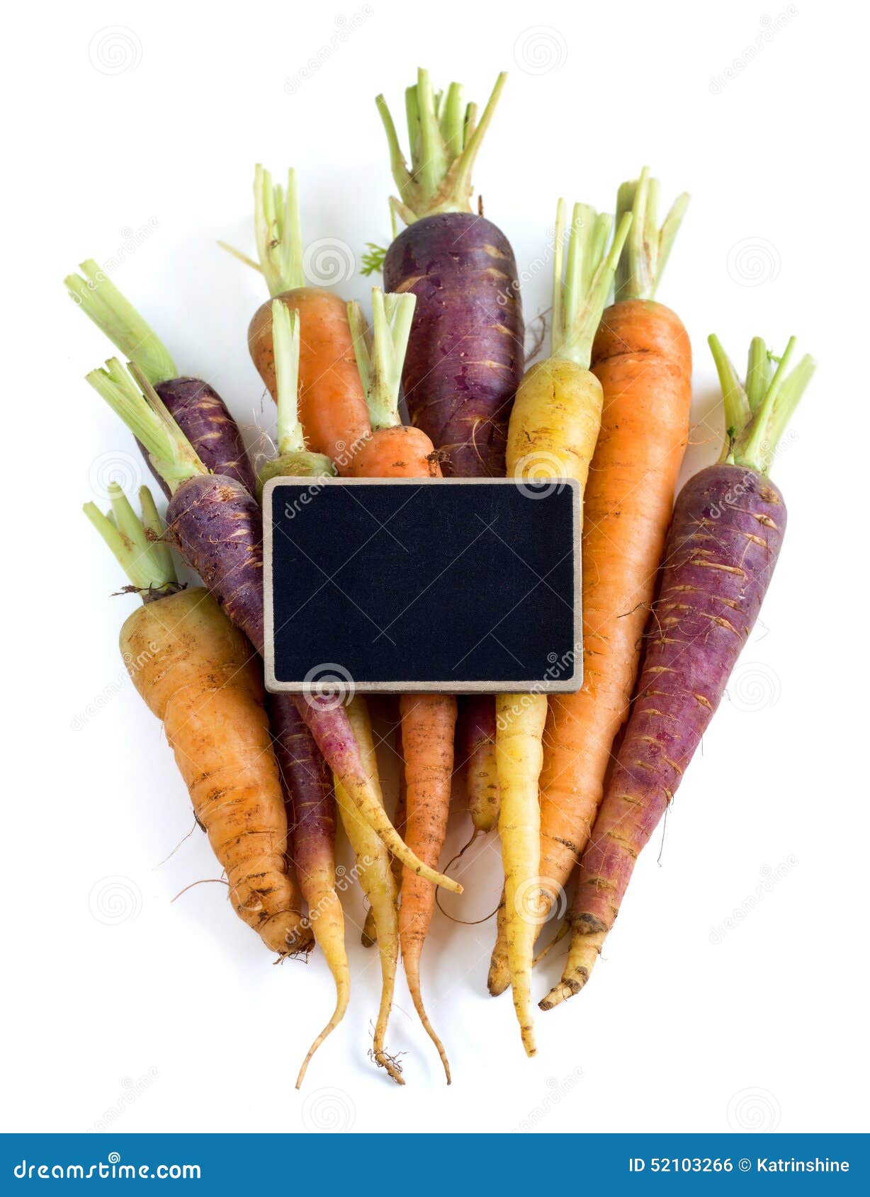 Fresh Organic Rainbow Carrots Stock Photo Image of vegetarian