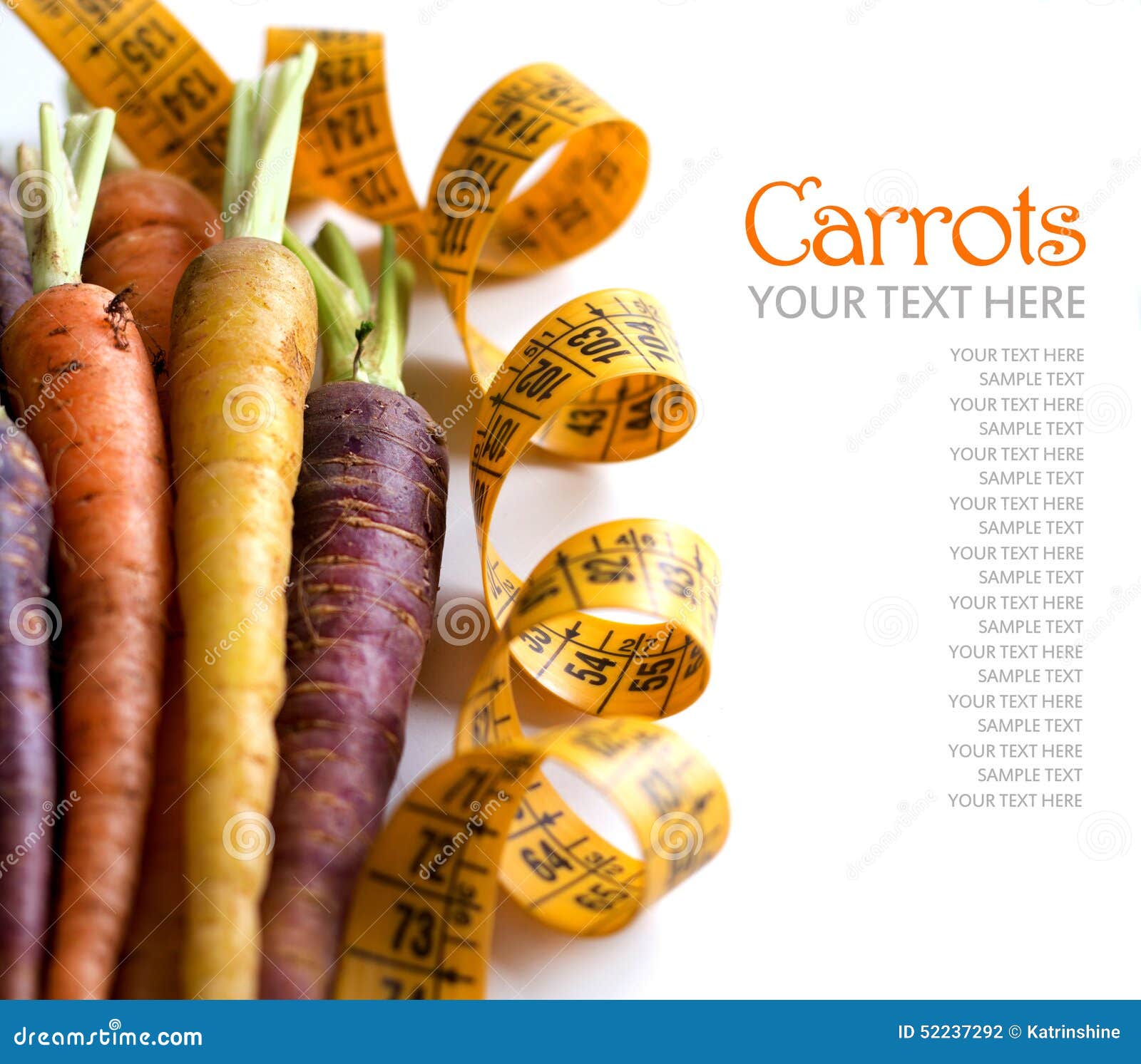Fresh Organic Rainbow Carrots Stock Photo Image of purple, orange