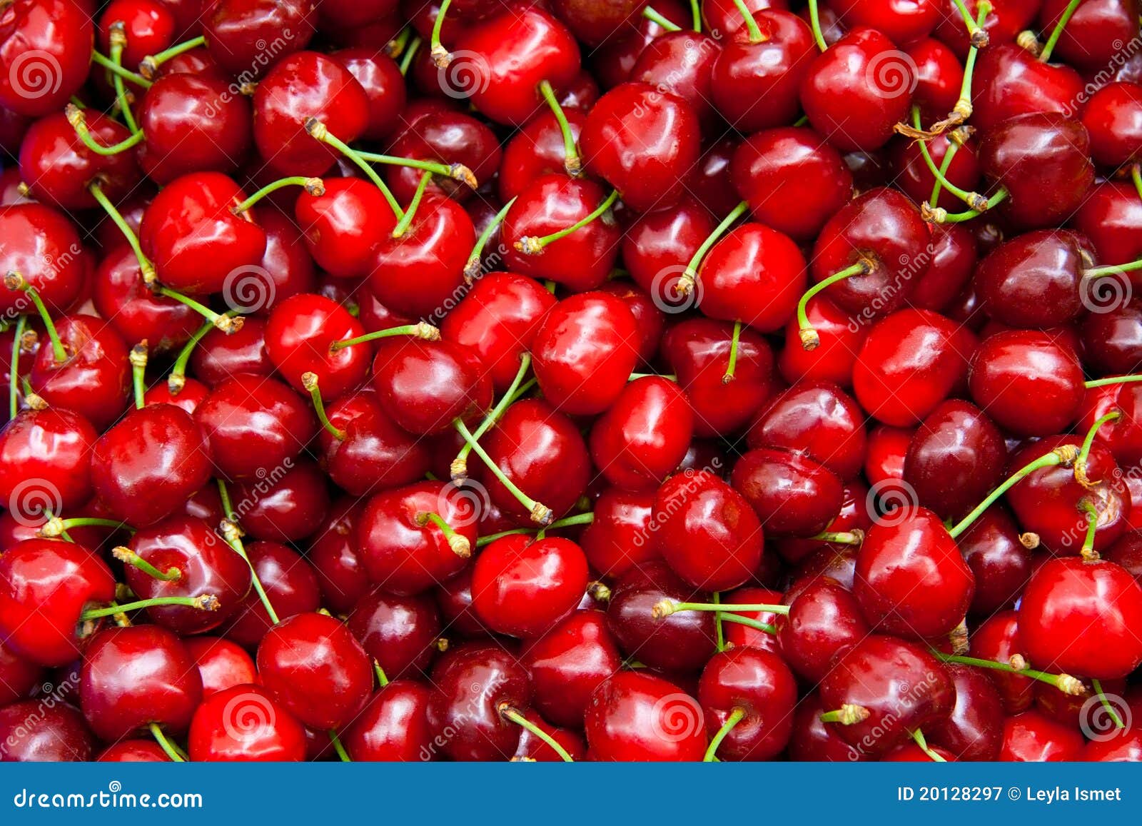 Fresh Organic Red Cherries stock image. Image of healthy 20128297