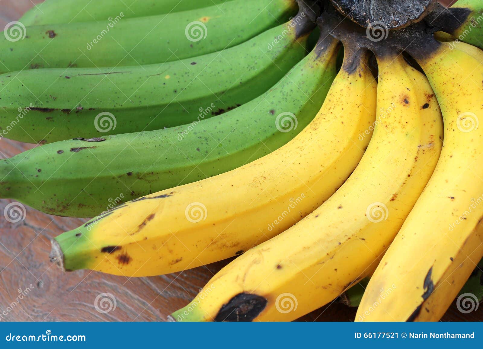 Fresh Organic Ripe Bananas and Raw Bananas in One Banana Bunch on a Wooden  Picnic Table Stock Image - Image of market, natural: 66177521