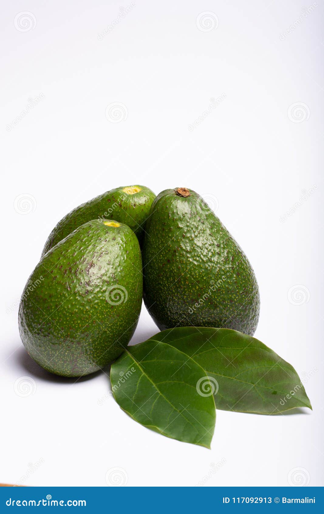 fresh organic ripe green fuerte avocado with leaves, copy space