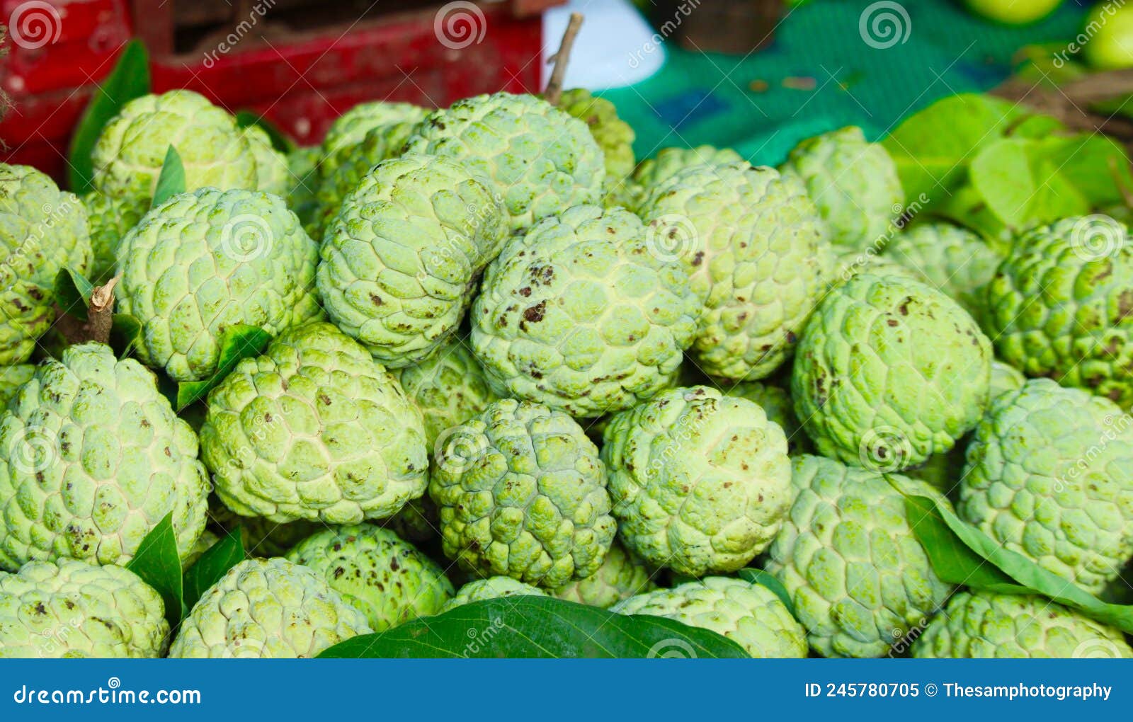Sugar apple stock image. Image of apples, fresh, delicious 245780705
