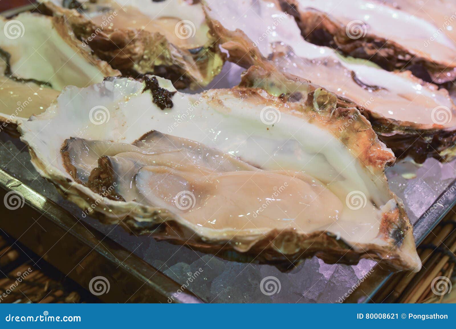 Fresh oyster stock image. Image of oyster, expensive 80008621