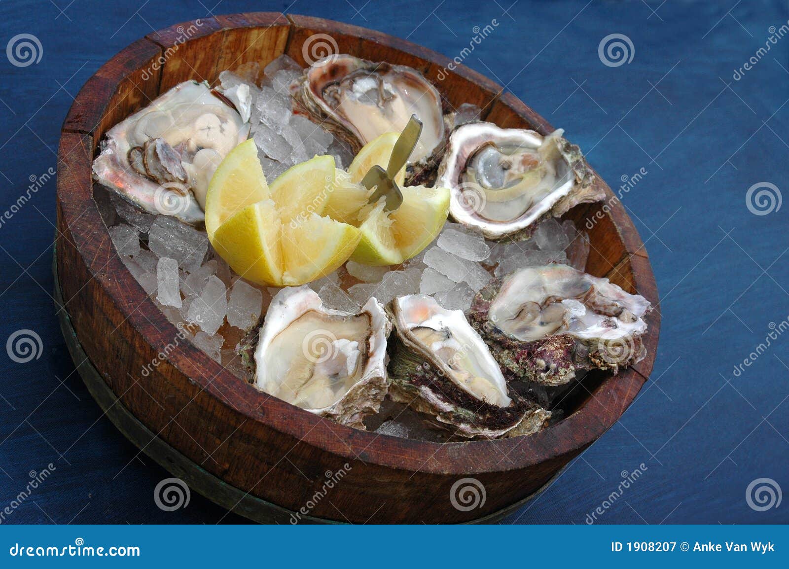 Fresh Oysters stock image. Image of exquisite, cape, food 1908207