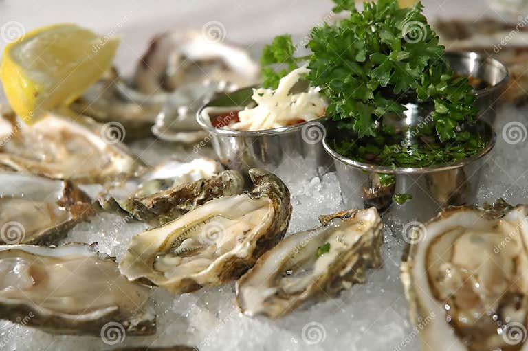 Fresh oysters stock photo. Image of entree, parsley, aphrodisiac 3085696