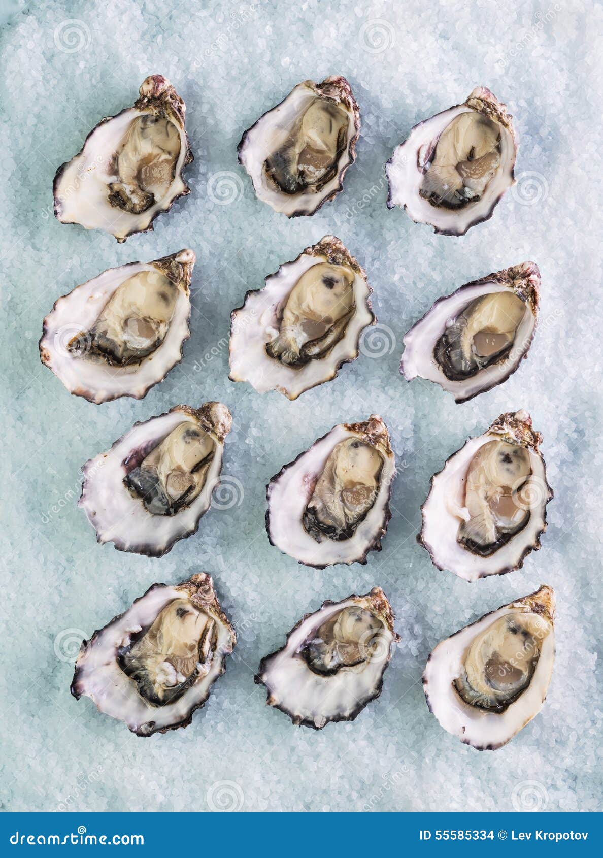 Fresh oysters stock photo. Image of closeup, marine, fresh 55585334