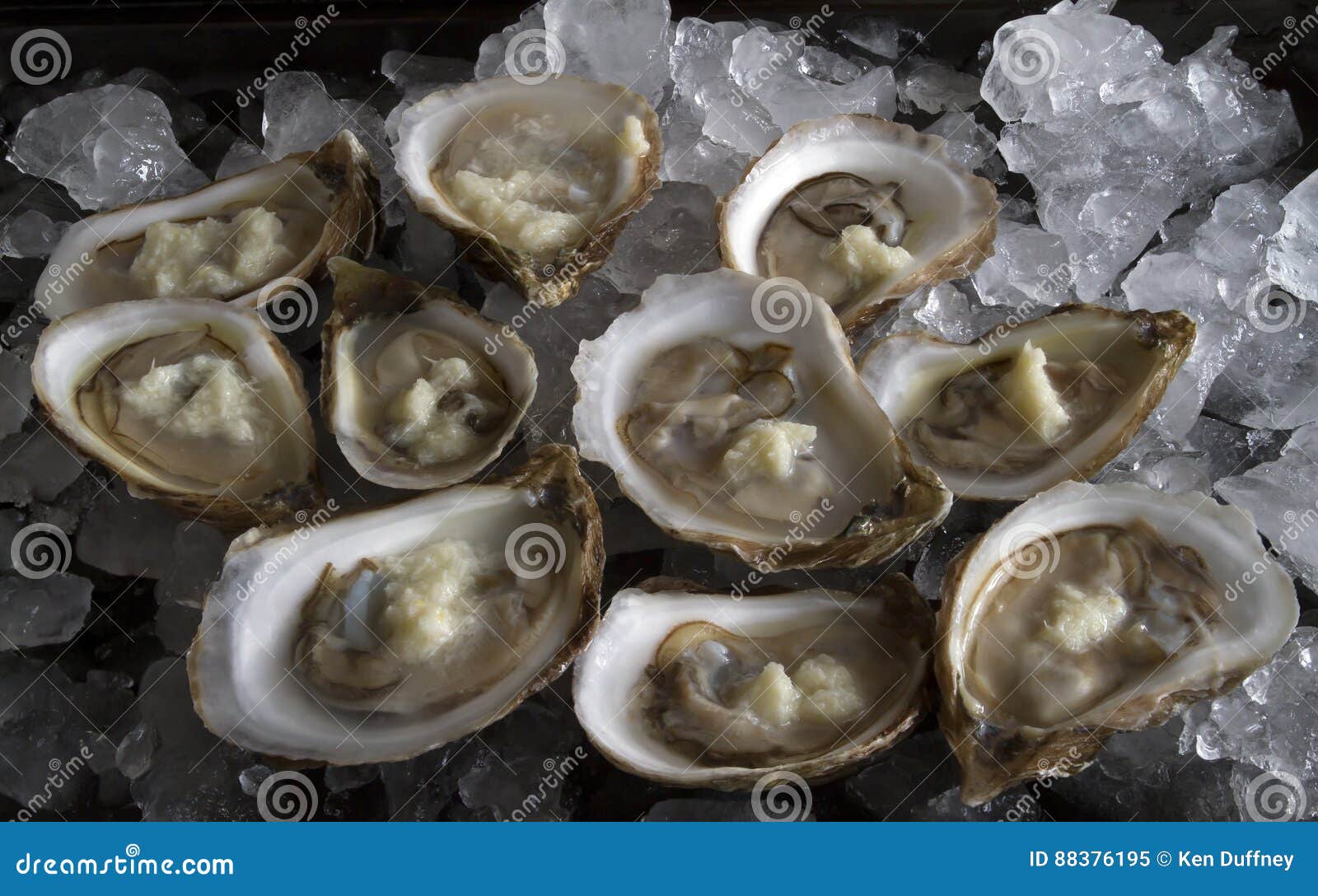 Fresh Oysters on the Half Shell Stock Image Image of spicy