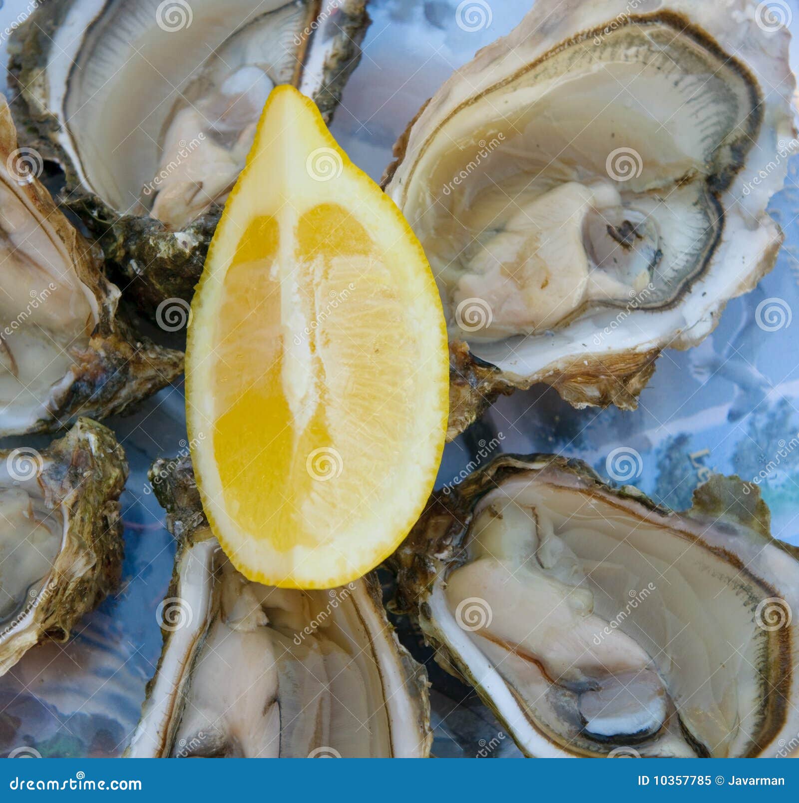 Fresh oysters and lemon stock image. Image of oysters 10357785