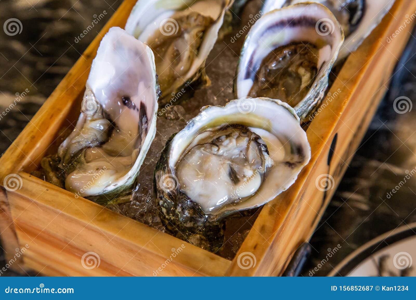 Fresh Oysters Over Ice Served in the Restaurant Stock Image Image of