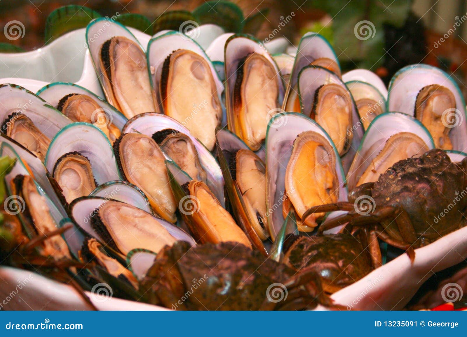 Fresh Oysters in Restaurant Stock Image Image of color, food 13235091
