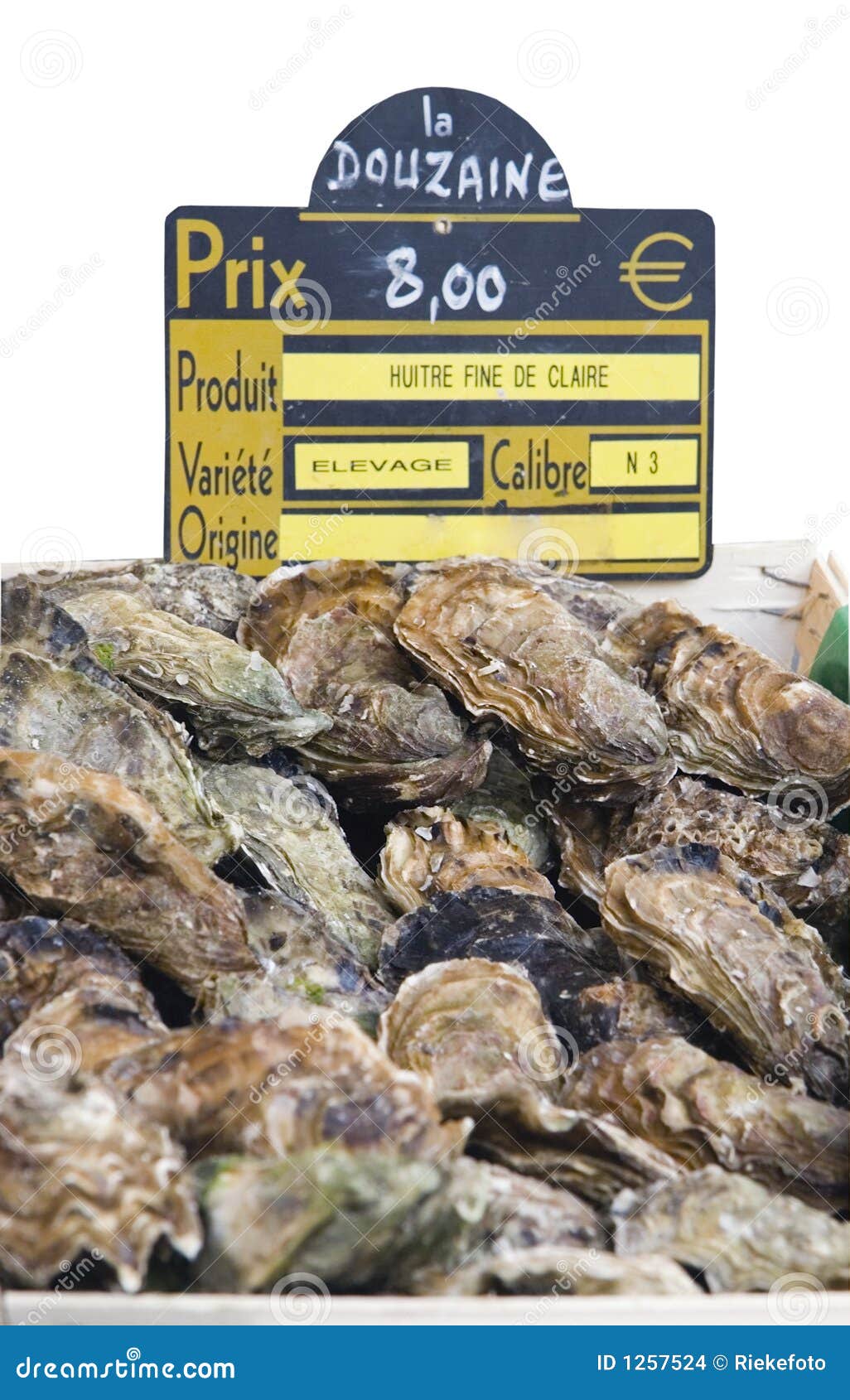 Fresh Oysters for Sale with Price Label Stock Photo Image of healthy
