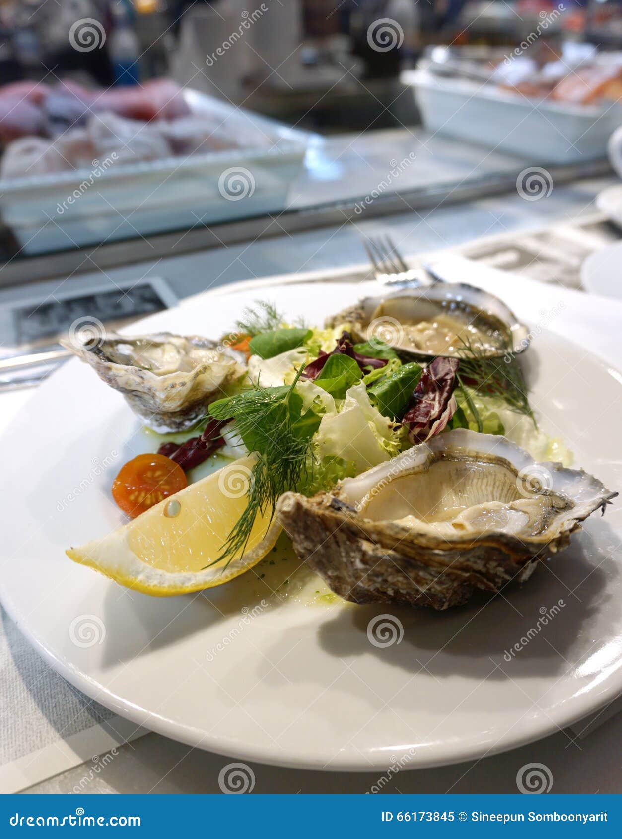 Fresh Oysters Serving with Salad Stock Image Image of travel, plate