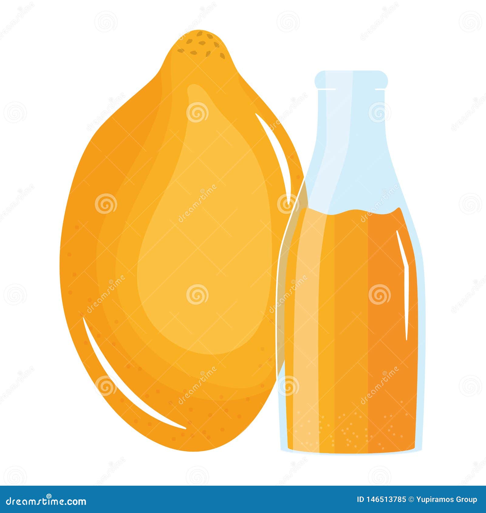 Fresh Papaya Juice Fruit in Botttle Stock Vector Illustration of garden, diet 146513785