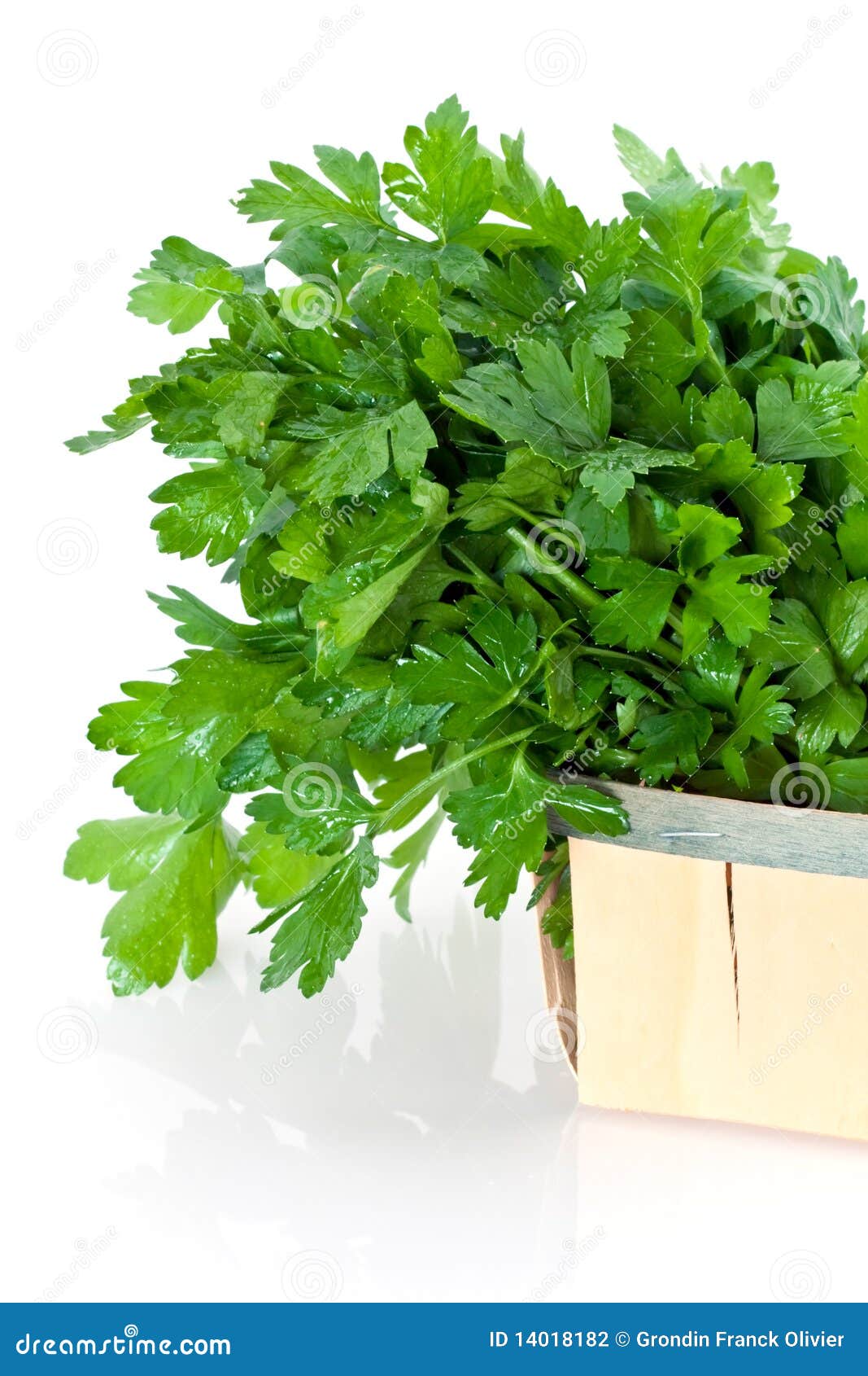 Fresh parsley stock photo. Image of green, delicious 14018182