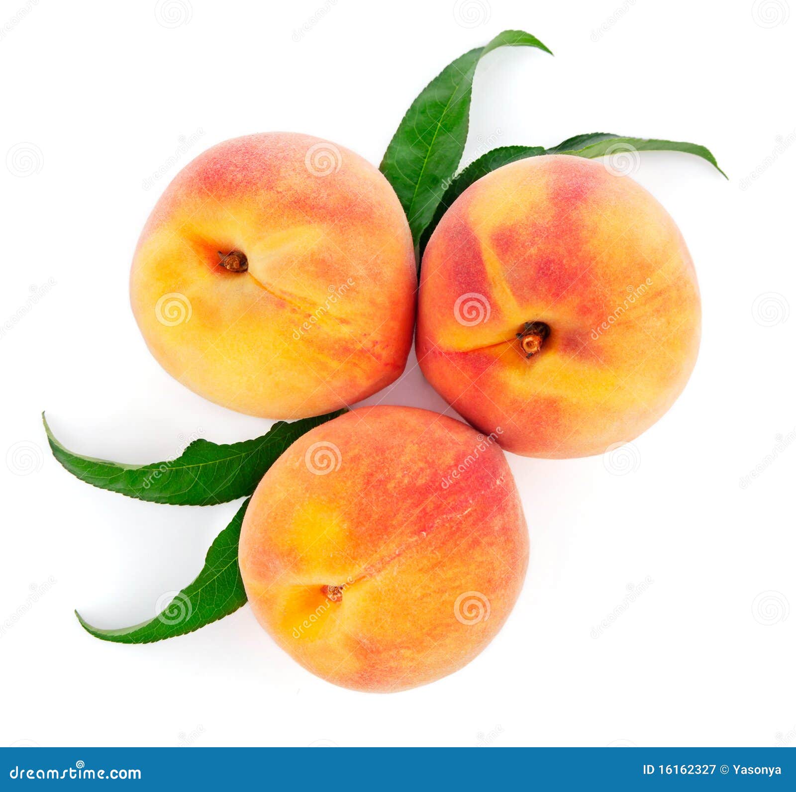 Fresh Peach Fruits with Green Leaf Stock Image Image of leaf