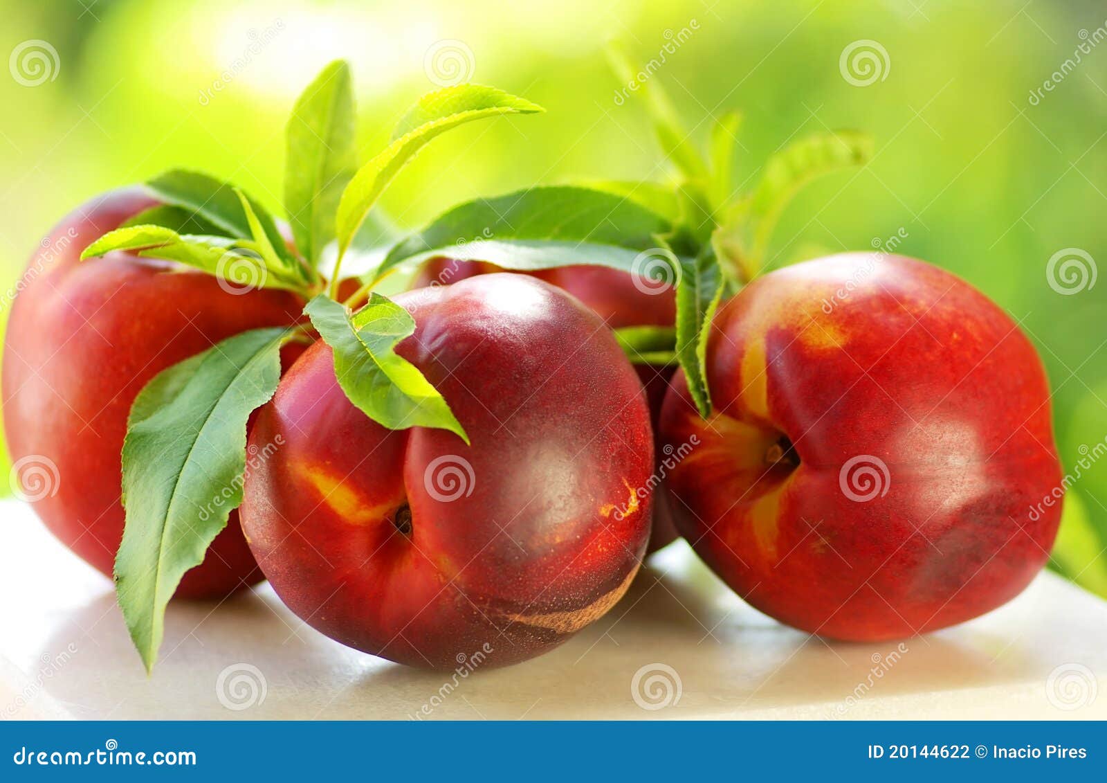 Fresh Peach Fruits with Green Leaves Stock Photo Image of reds