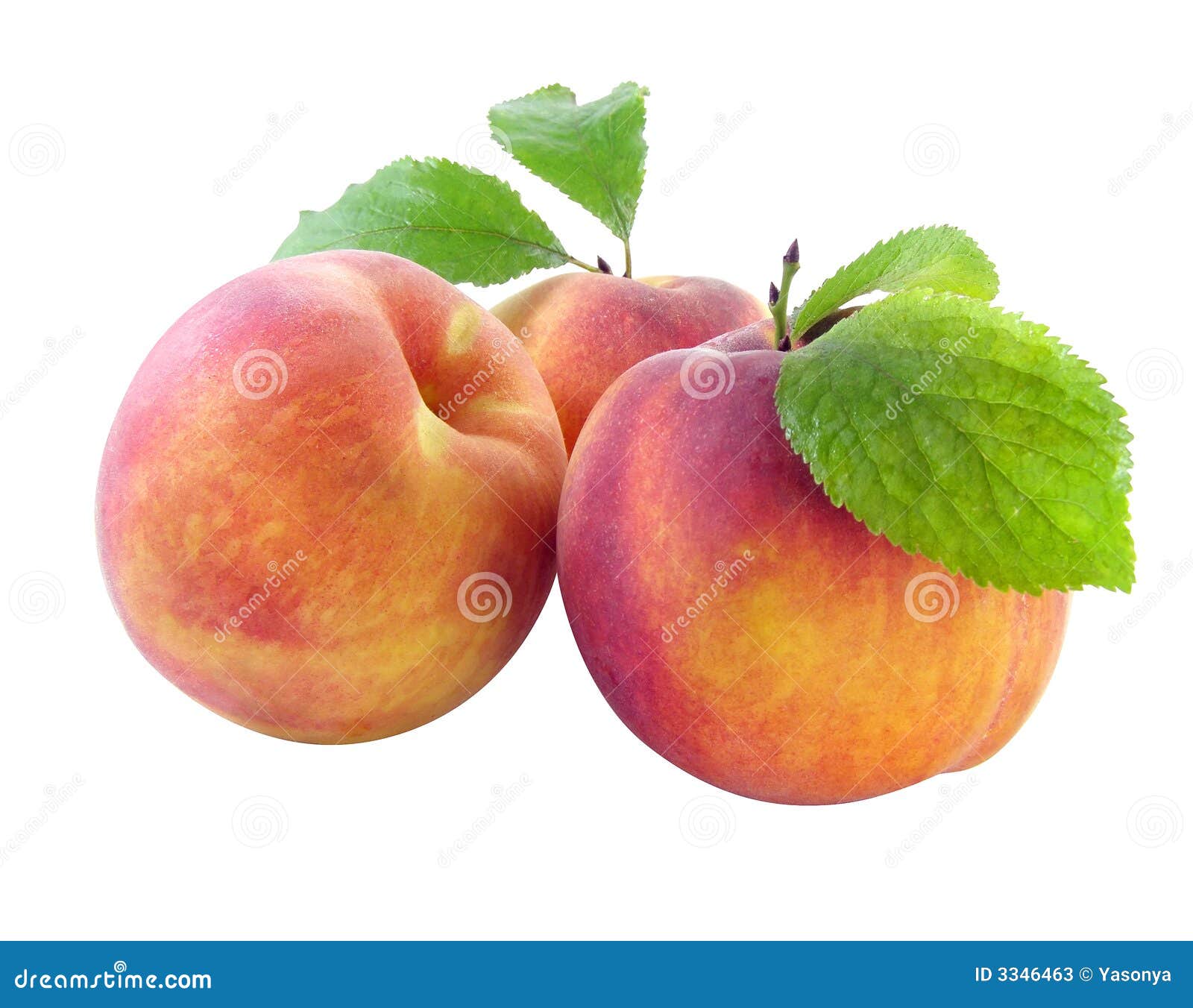 Fresh peaches stock image. Image of appetite, juice, fruits 3346463