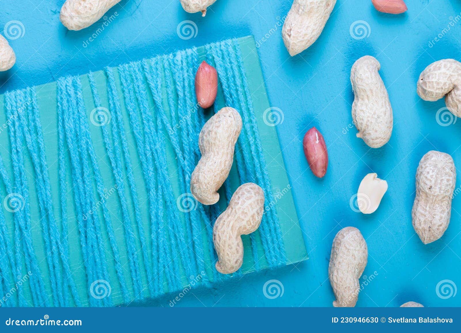 fresh peanuts in a shell on a bright blue slate, concrete or stone background. lots of nuts. the concept of proper