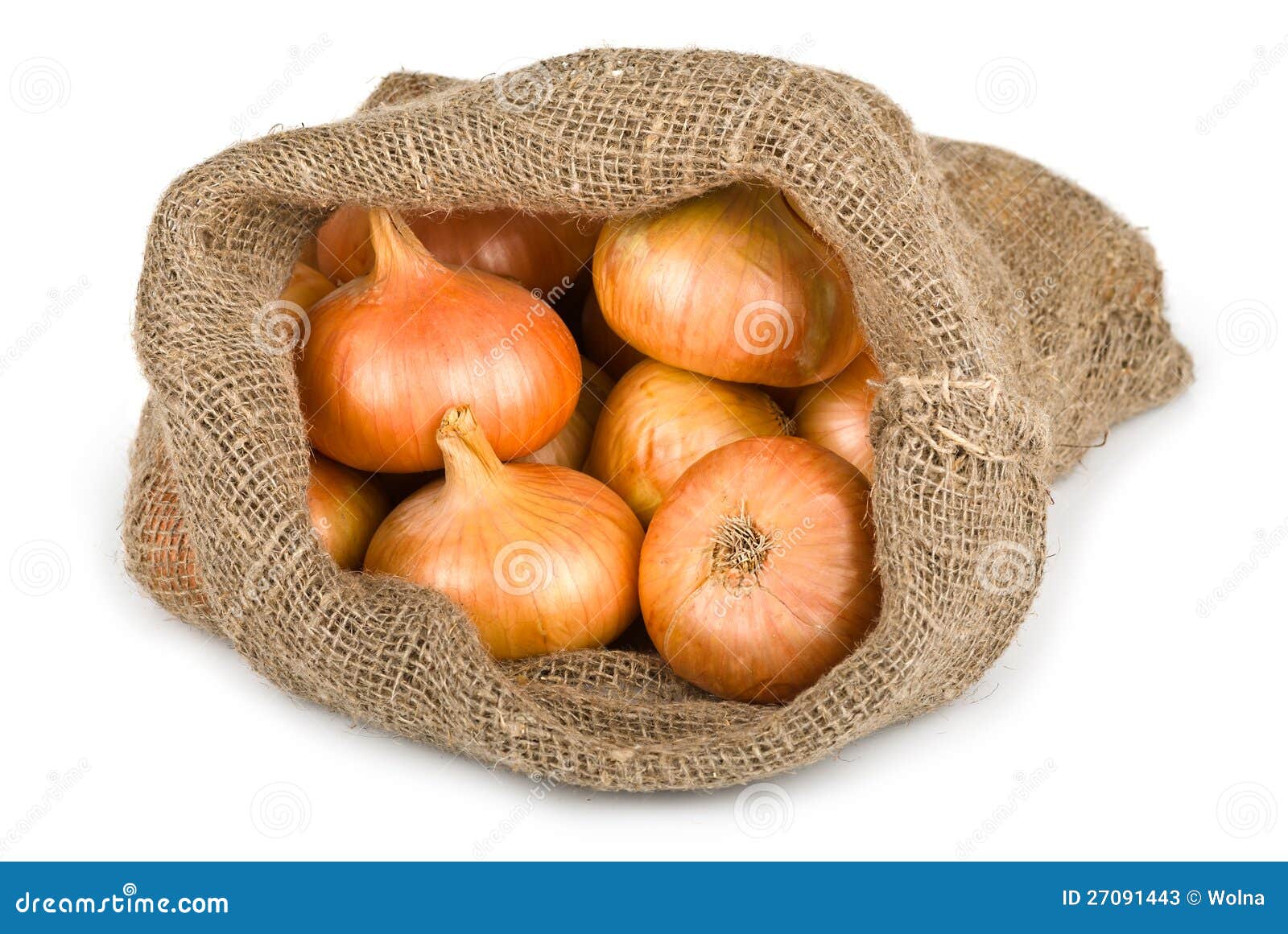 Fresh Pearl Onions in a Burlap Sack Stock Image Image of pearl