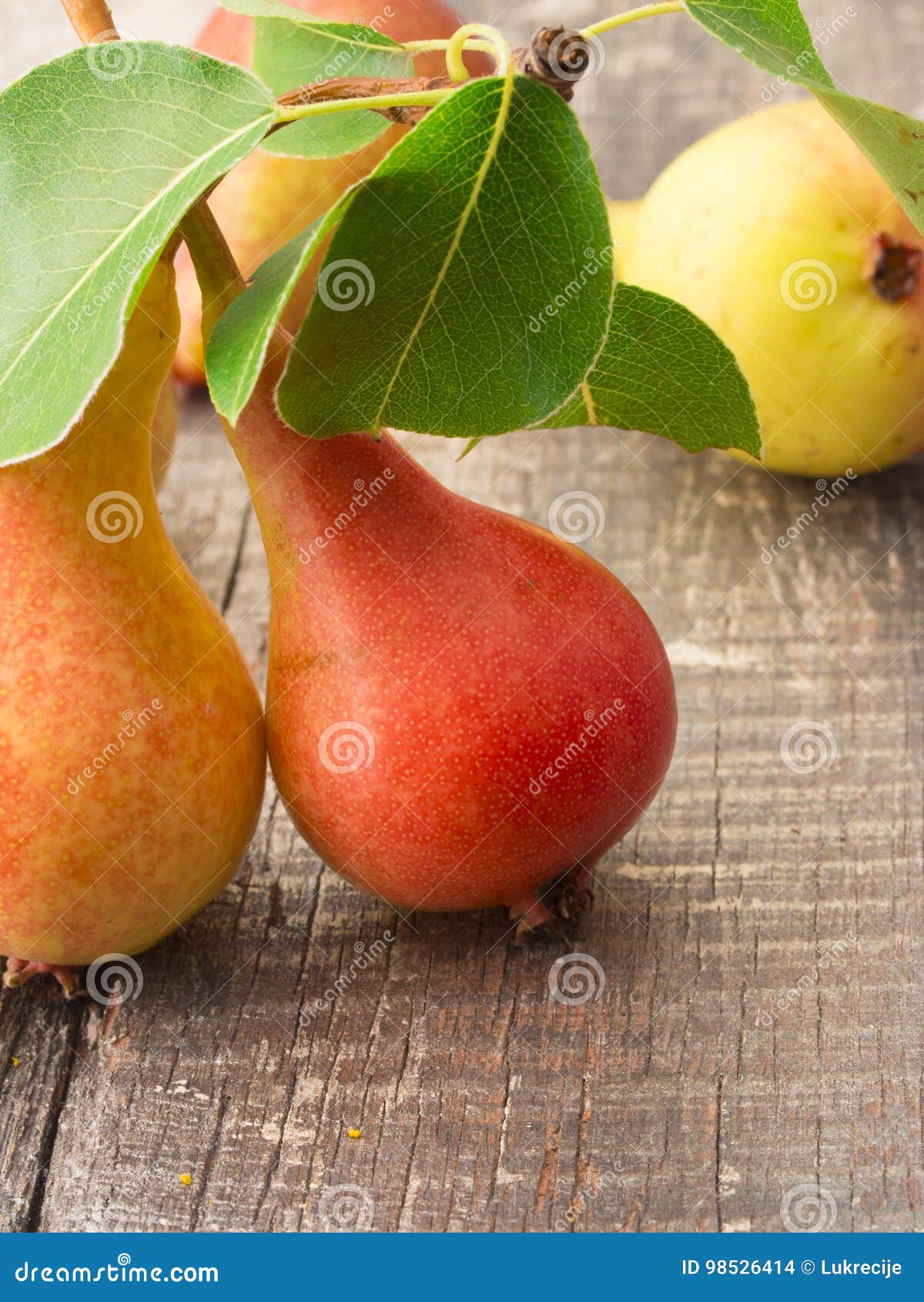 Fresh pears stock photo. Image of healthy, pears, pear 98526414