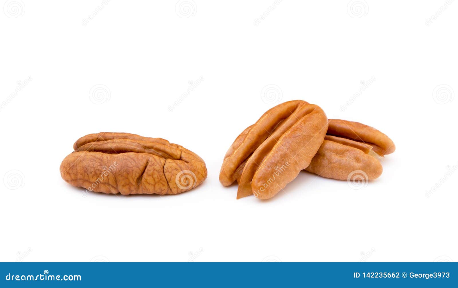 Fresh pecan nuts stock photo. Image of isolated, nuts 142235662