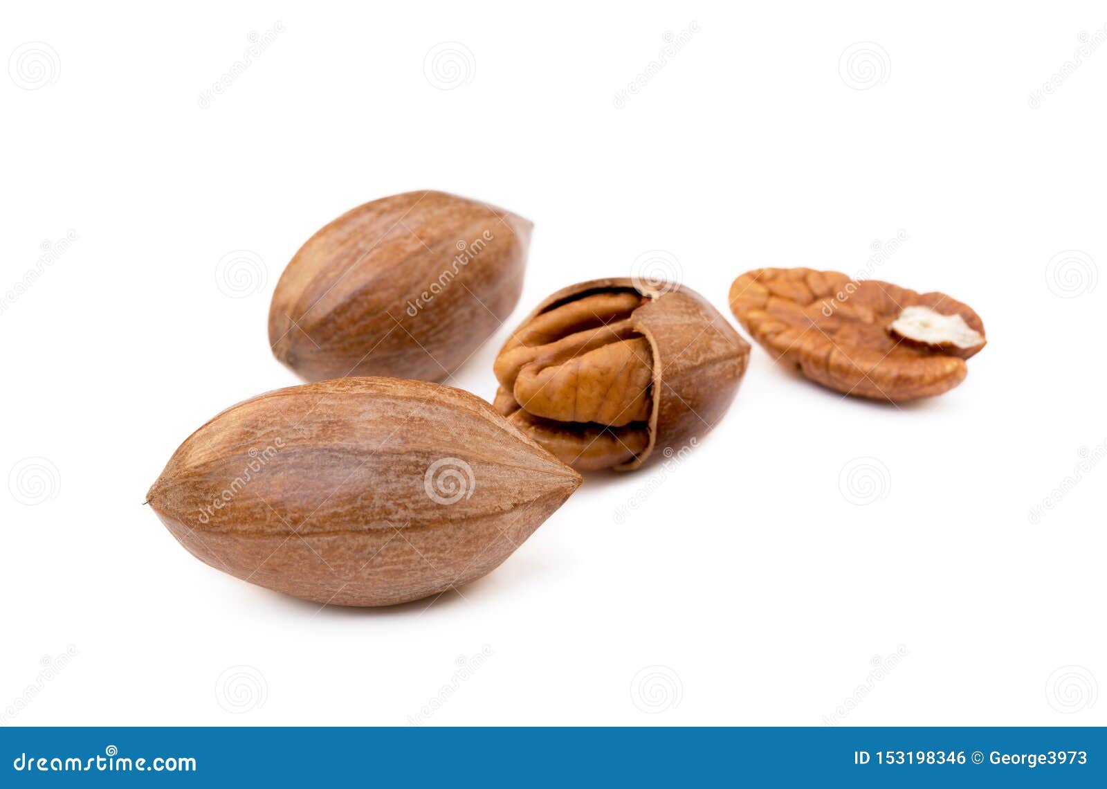 Fresh pecan nuts stock photo. Image of diet, nature 153198346
