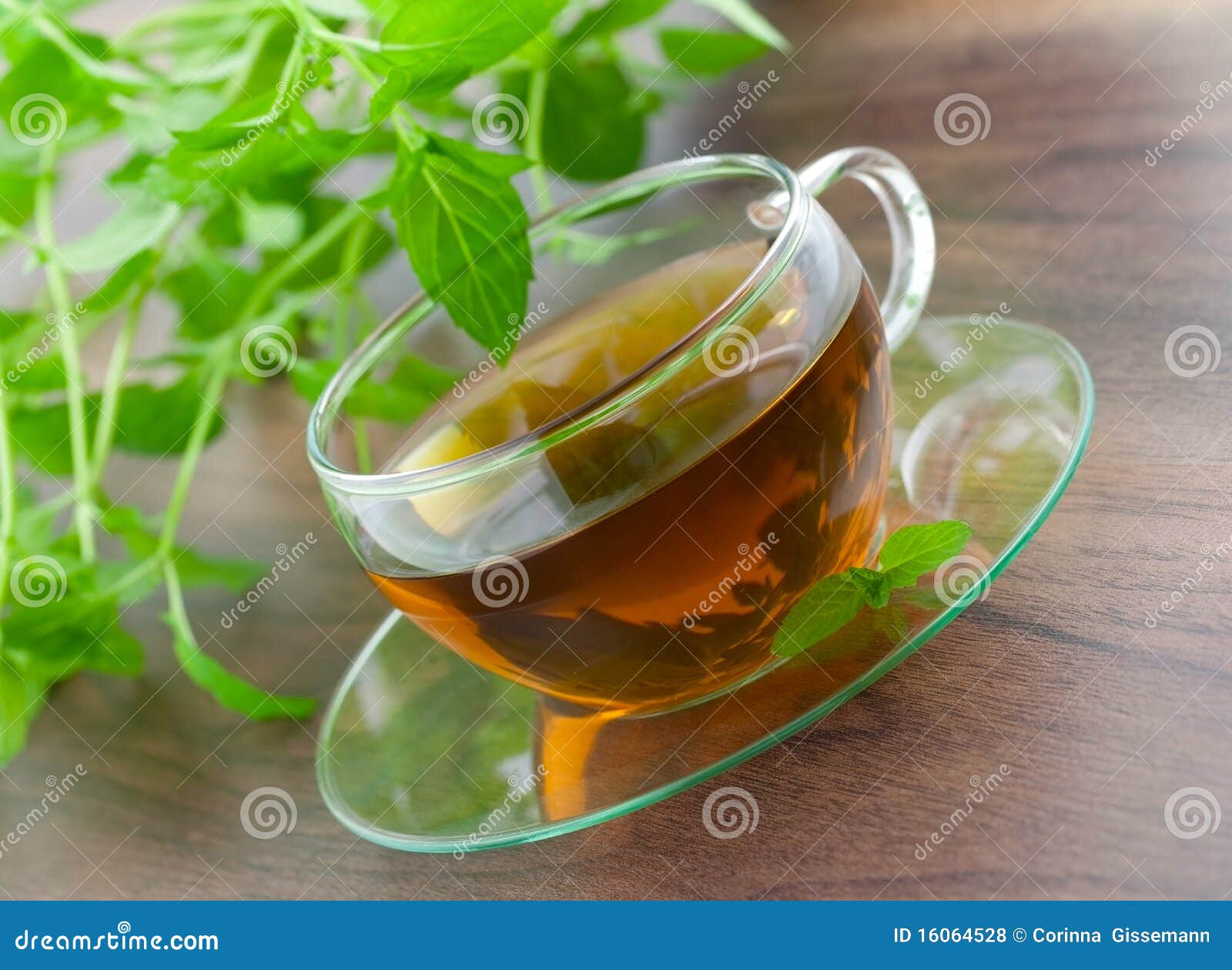 Fresh peppermint tea stock photo. Image of spice, green - 16064528