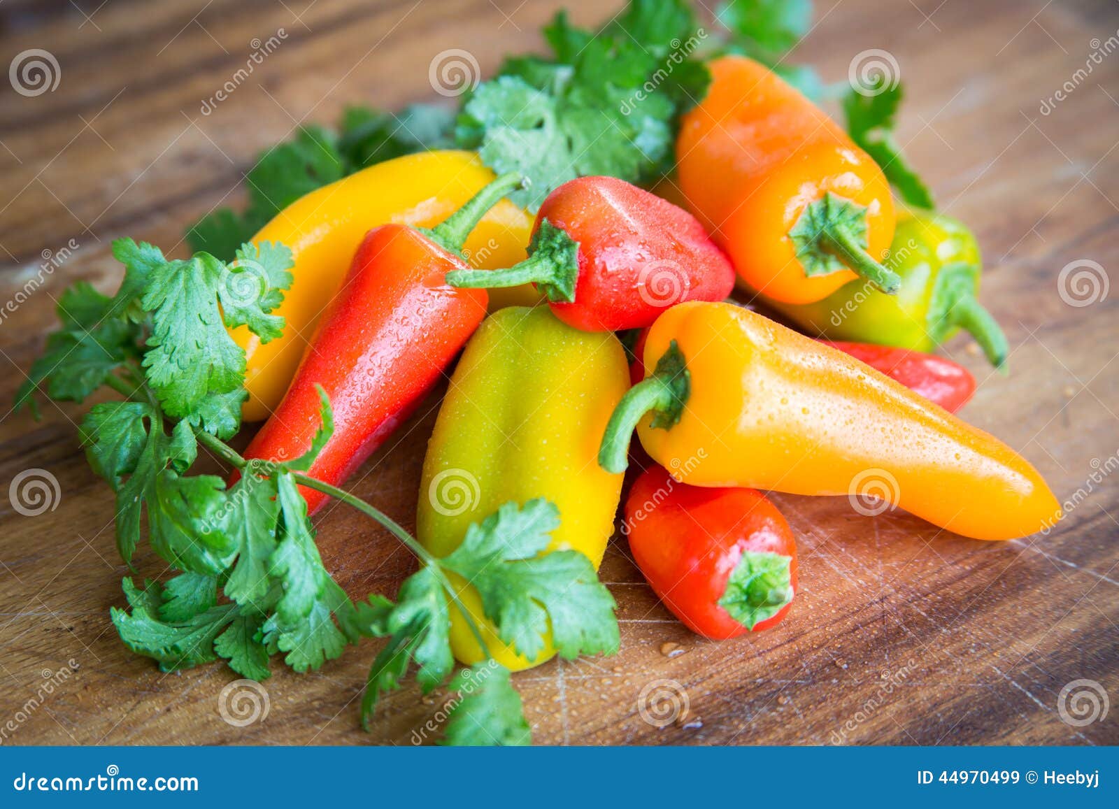 Fresh Peppers Cilantro Food Stock Image Image of produce, bench 44970499