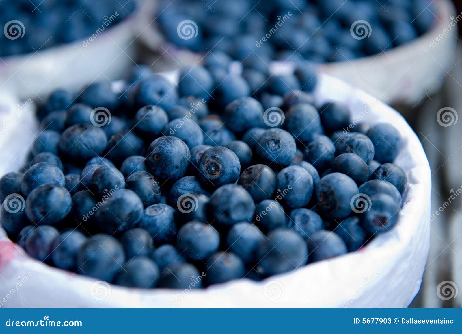 Fresh picked blueberries stock image. Image of bushels 5677903