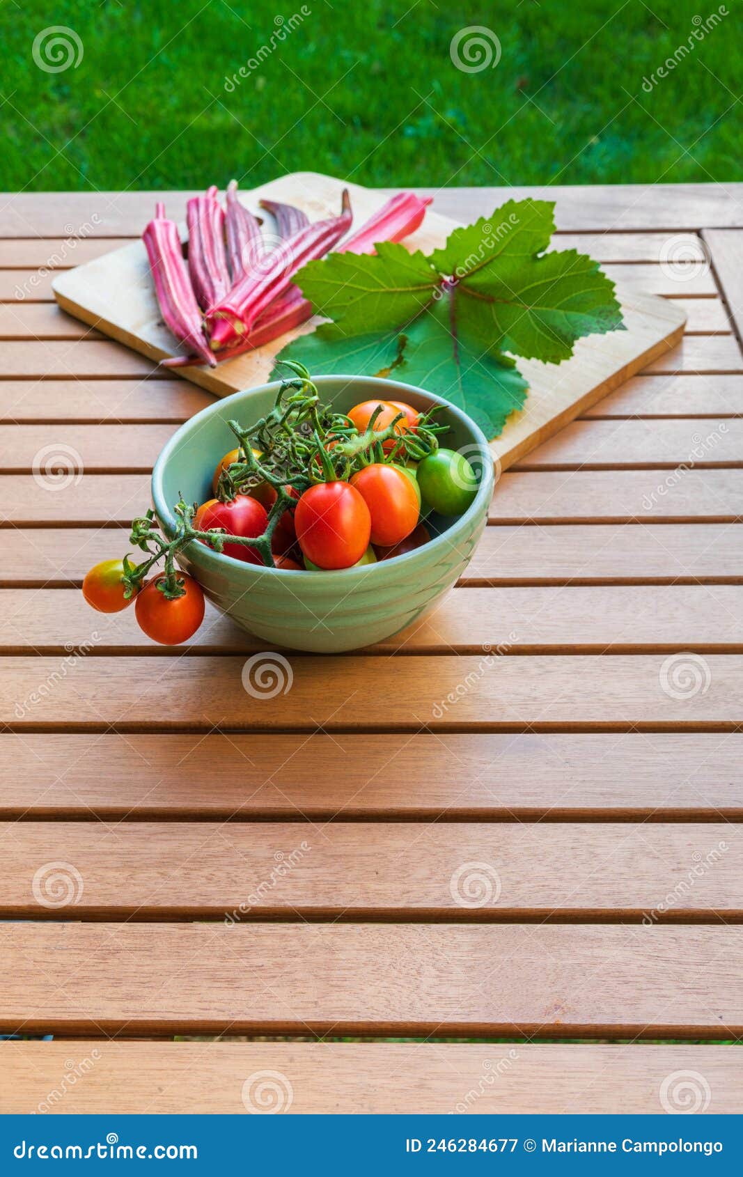 fresh picked grape tomatoes and okra with an okra leaf