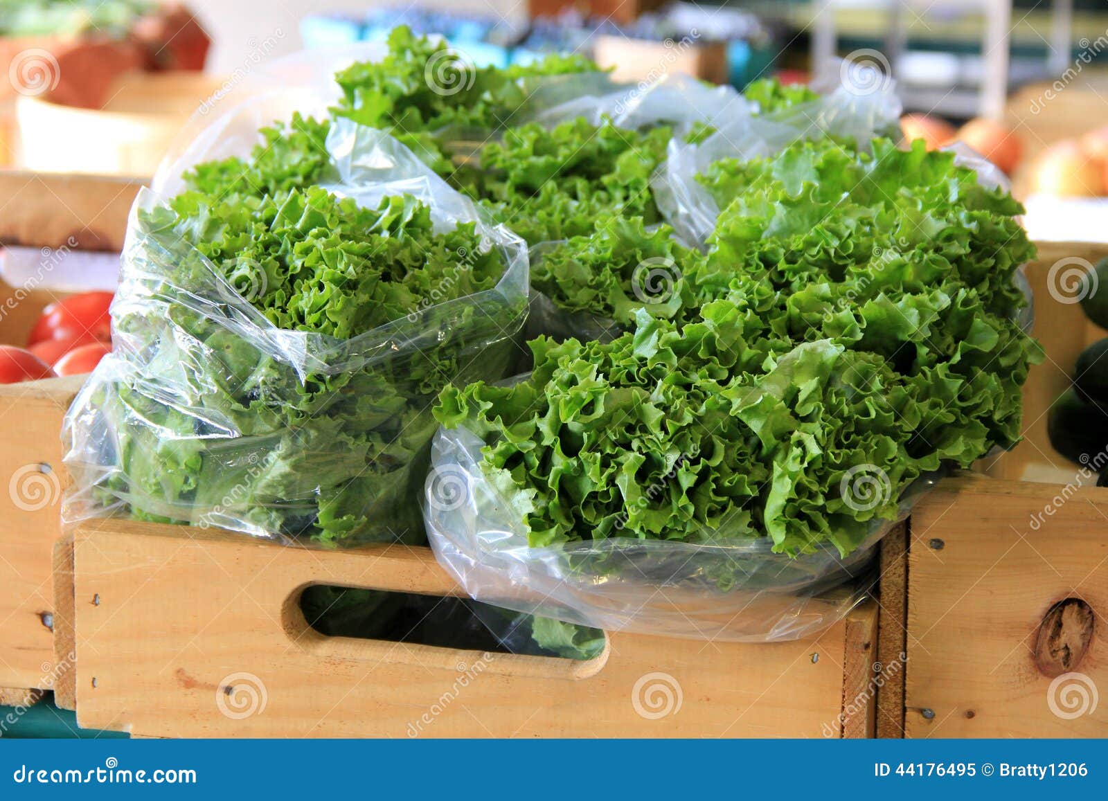 Download Fresh Picked Lettuce In Plastic Bags Stock Image Image Of Harvest Market 44176495 Yellowimages Mockups