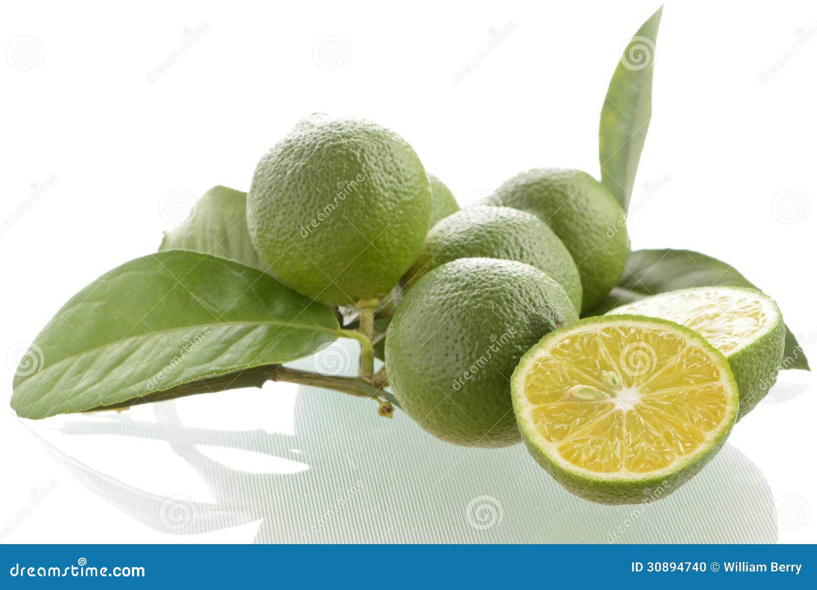 Fresh Picked Limes stock photo. Image of food, fresh 30894740