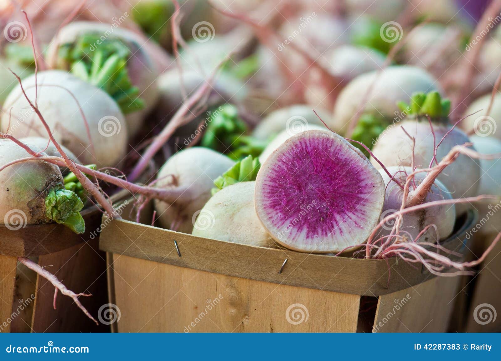 fresh-picked-organic-watermelon-radish-baskets-roots-42287383.jpg