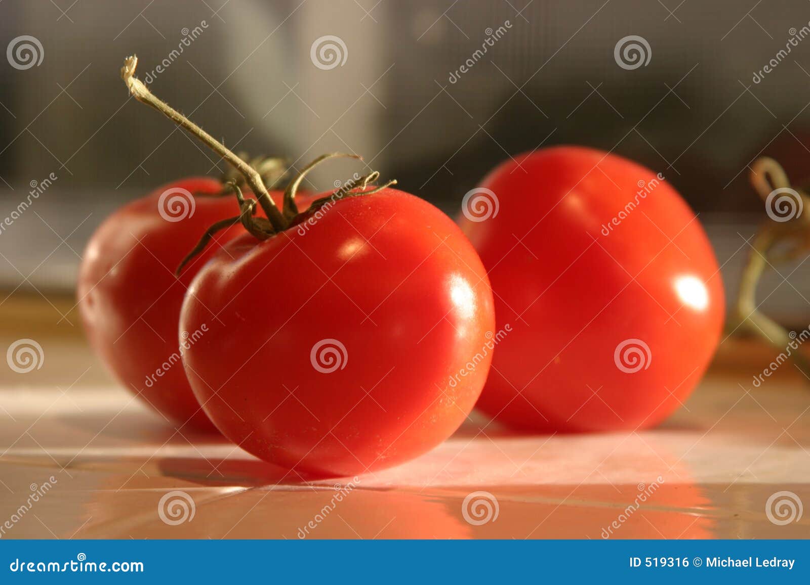 Fresh Picked Vine Ripe Red Tomatoes Stock Photo Image of vegitable