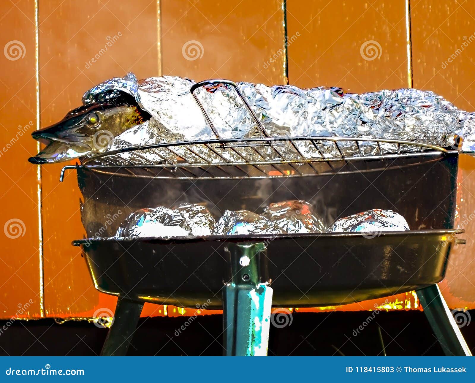 Fresh Pike Coiled in Aluminium Foil on Barbecue Stock Image Image of