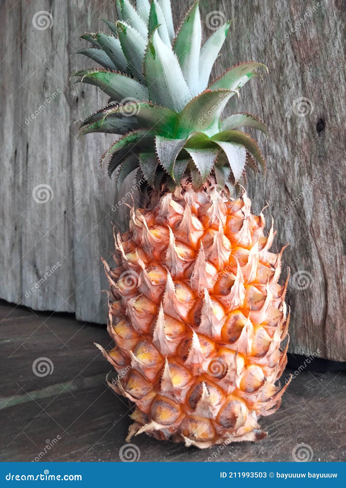 The Fresh Pineapple Fruit Source Vitamin C Stock Image Image of branch, tree 211993503