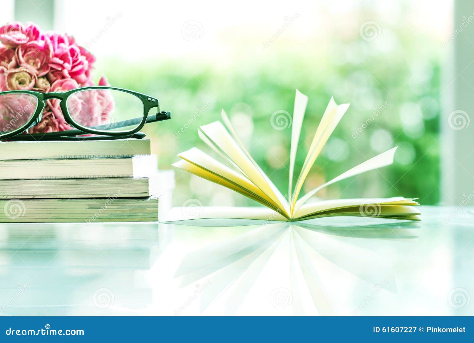 Fresh Pink Carnation Flower with Books Background Stock Image Image