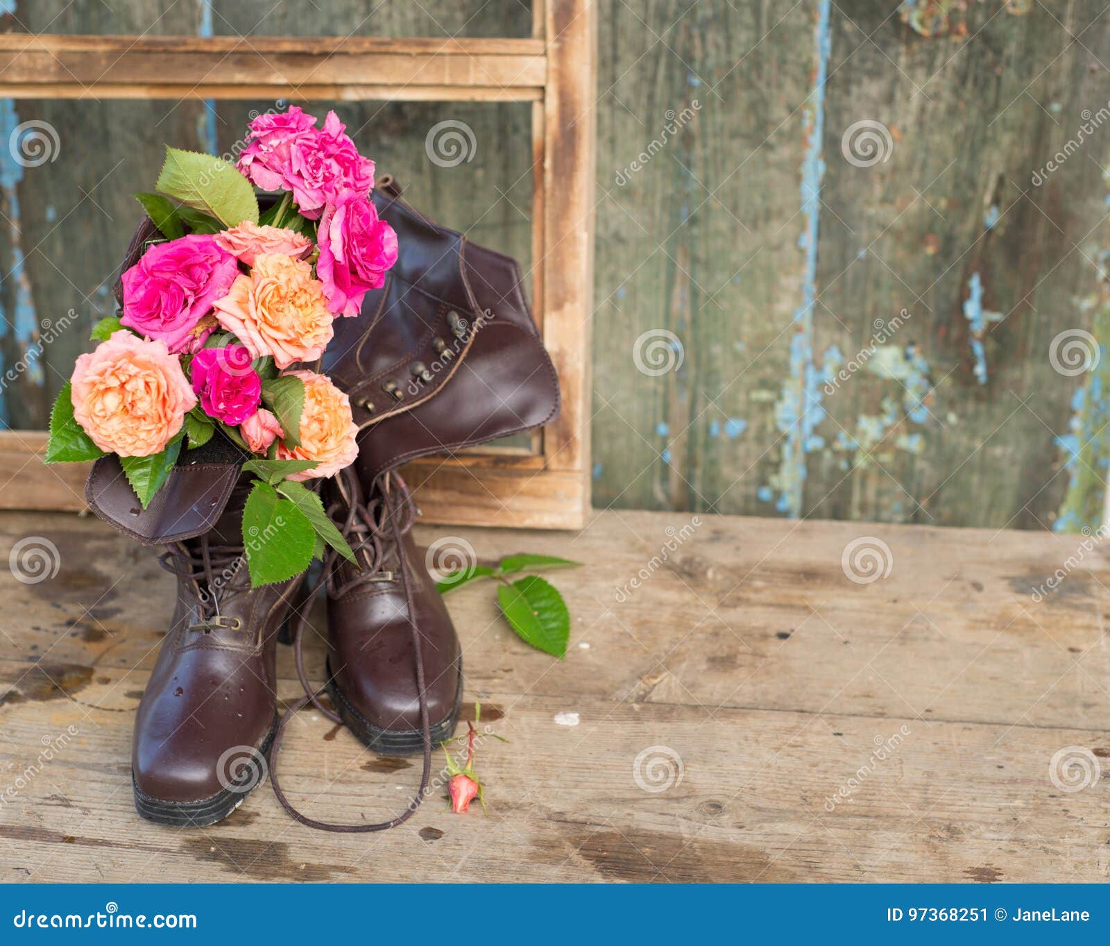 Fresh Pink and Orange Roses in Vintage Brown Boots Stock Image - Image ...