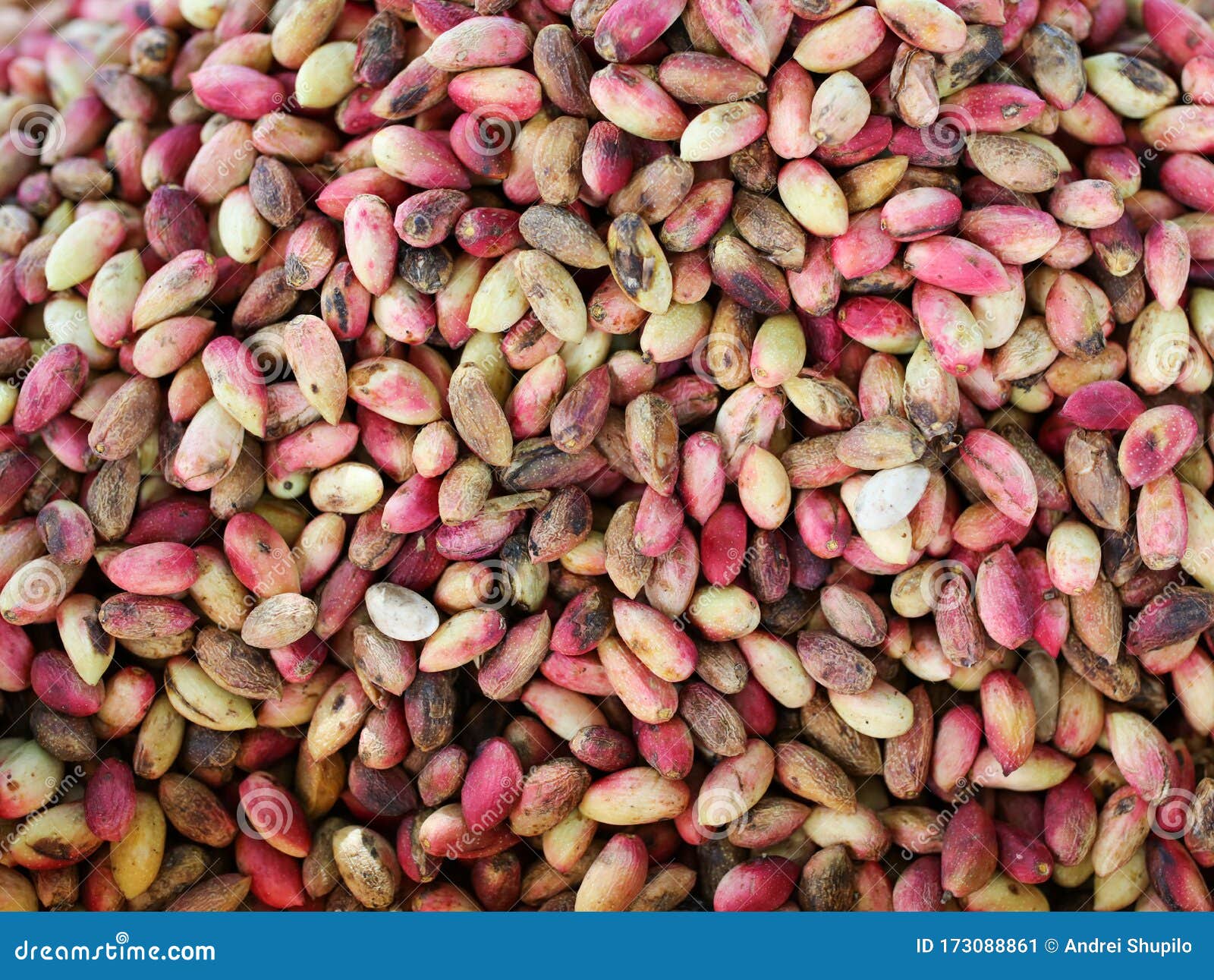 Fresh Pistachios on the Counter in the Market Stock Image Image of