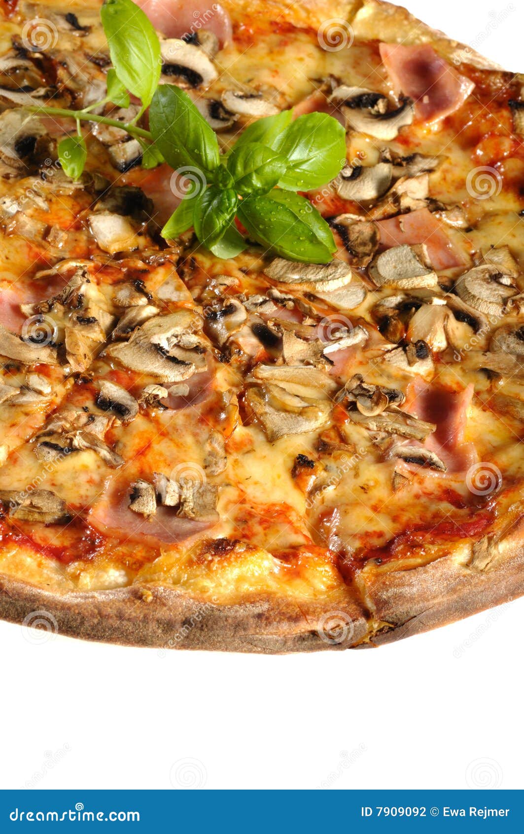 Fresh Pizza stock photo. Image of health, cooking, cuisine 7909092