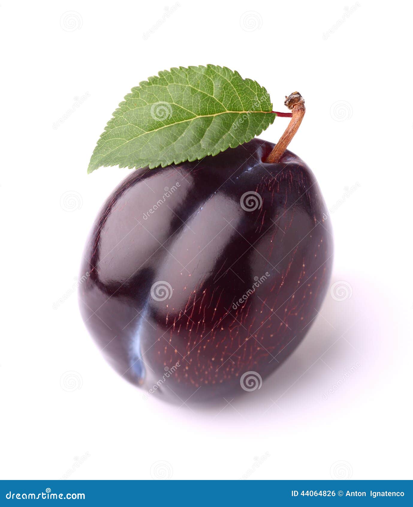 43,516 Fresh Plum Leaf Photos Free & RoyaltyFree Stock Photos from