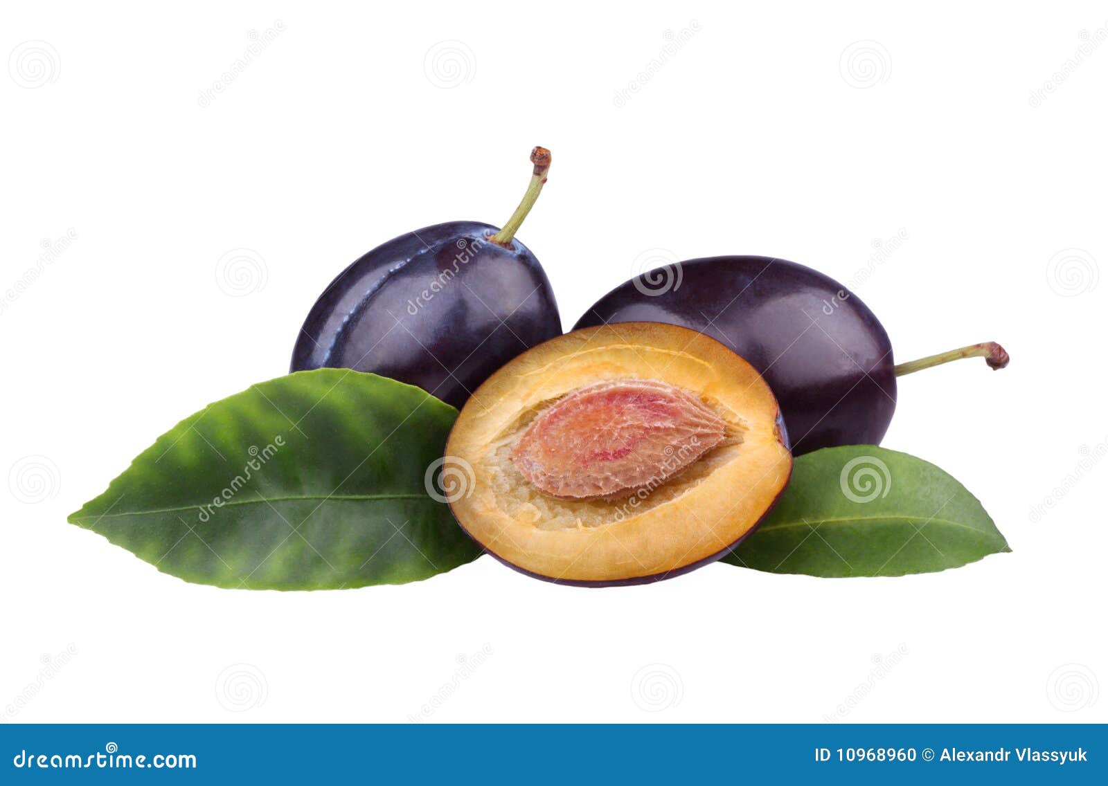 Fresh plums stock photo. Image of nutrition, autumn, organic 10968960