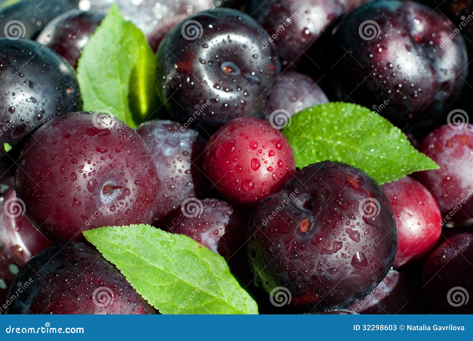 Fresh plums stock image. Image of ripe, focus, drop, healthy 32298603